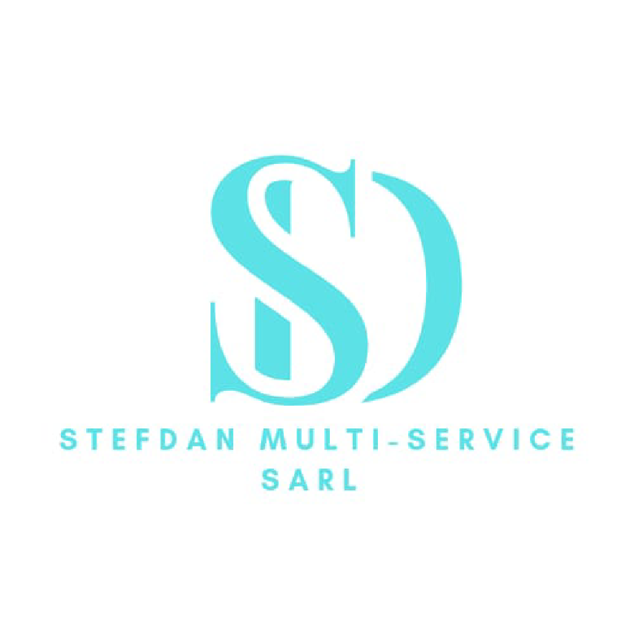 STEFDAN Logo
